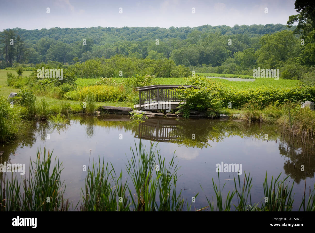 Small wooden bridge hi-res stock photography and images - Alamy