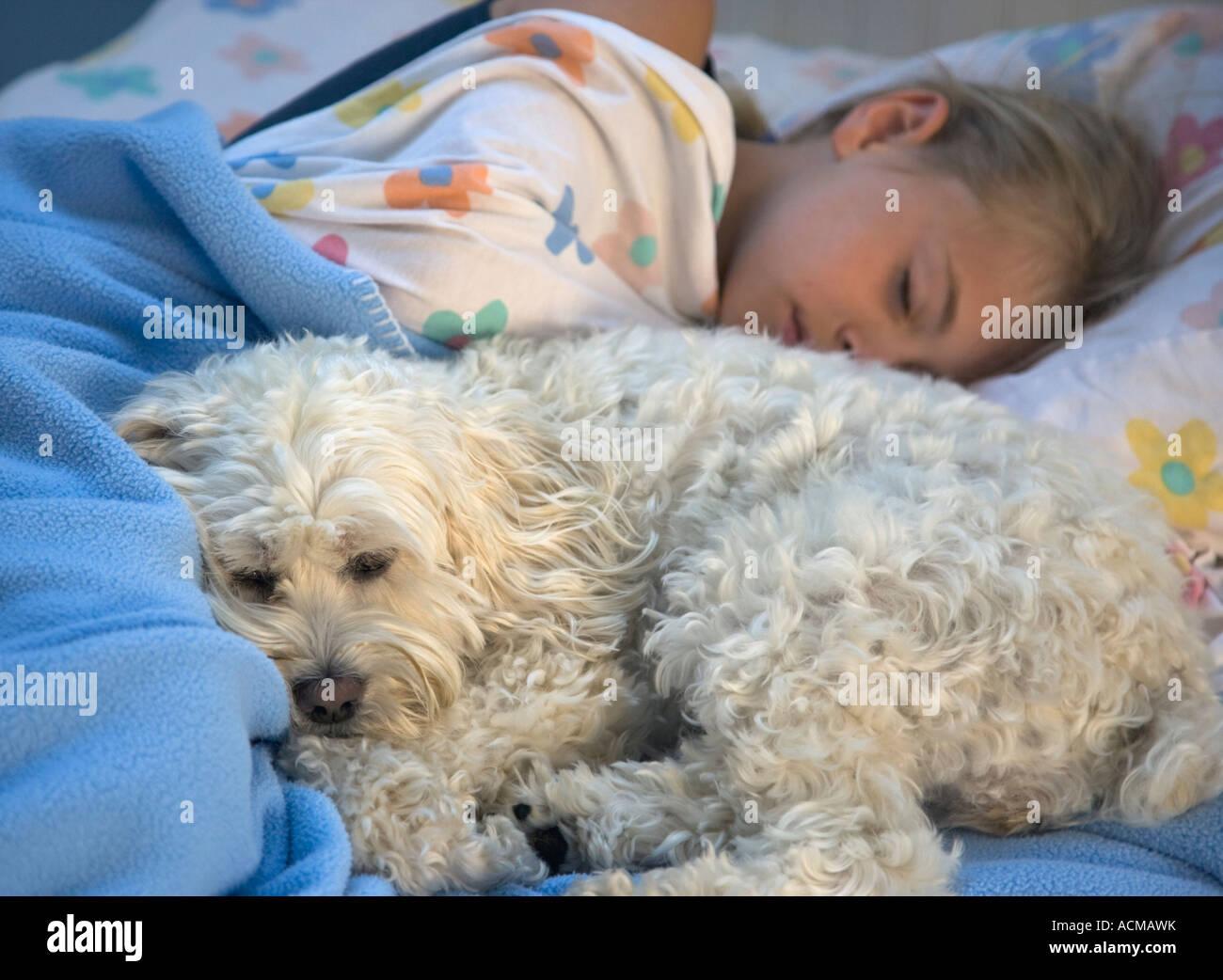 Child sleeping with her pet dog Stock Photo