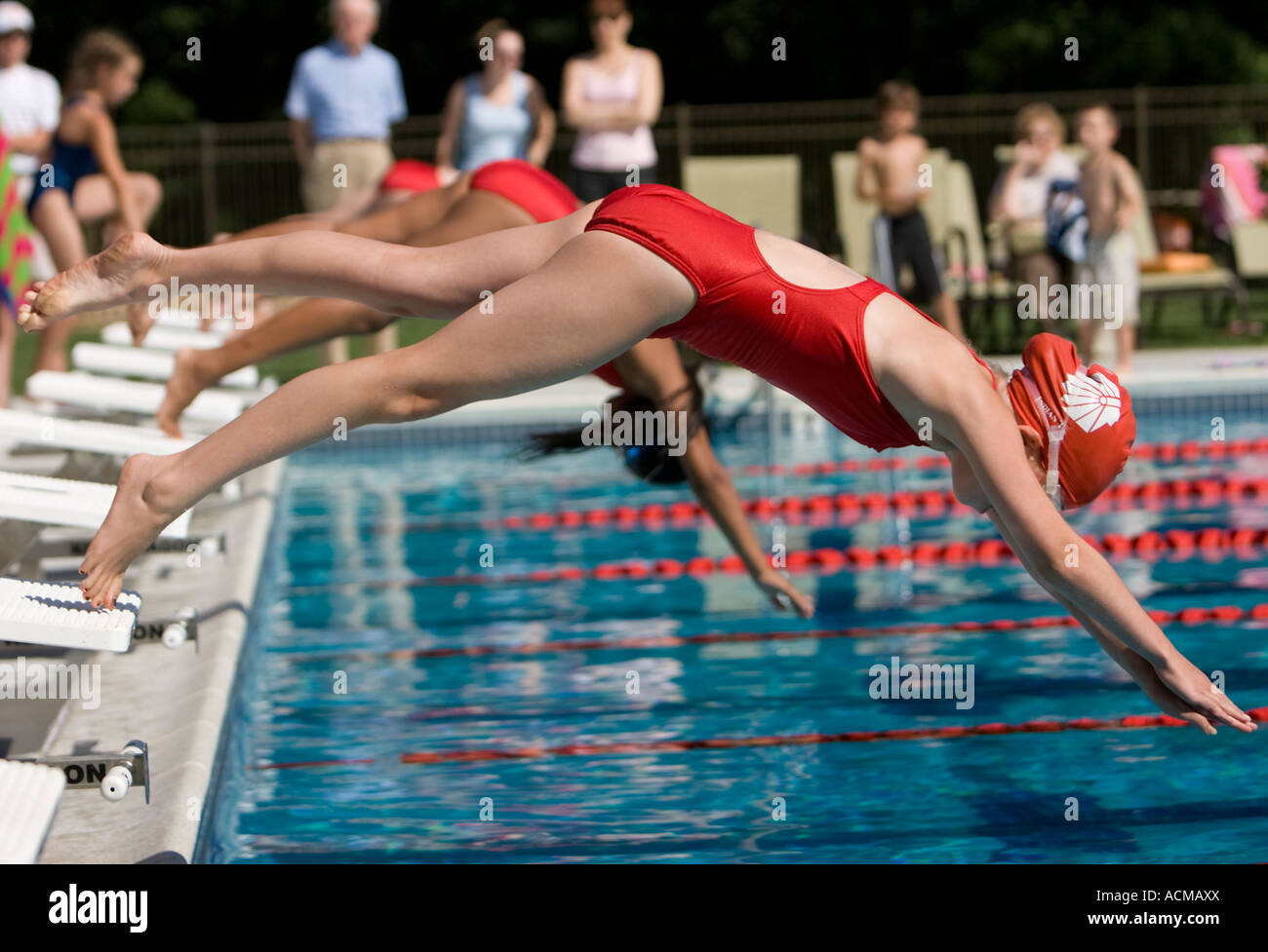 Girls diving into a pool at the start of a swim meet Stock Photo Alamy