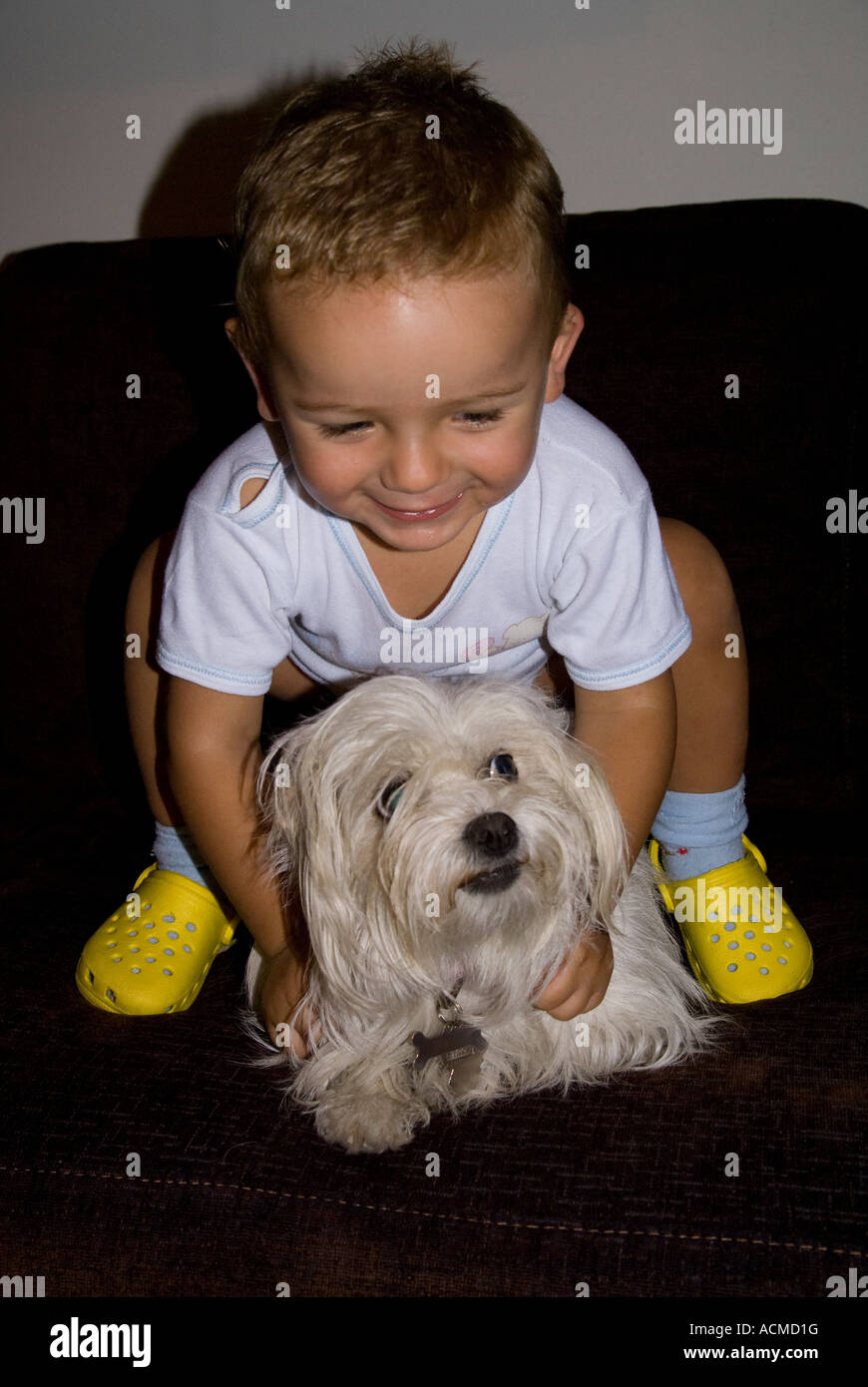 BABY RIDING DOG 