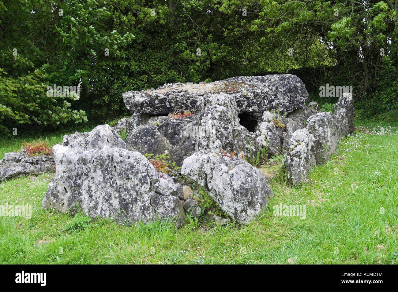 The wedge tomb Lough Gur Stone Age Centre Bruff Co Limerick Ireland Stock Photo