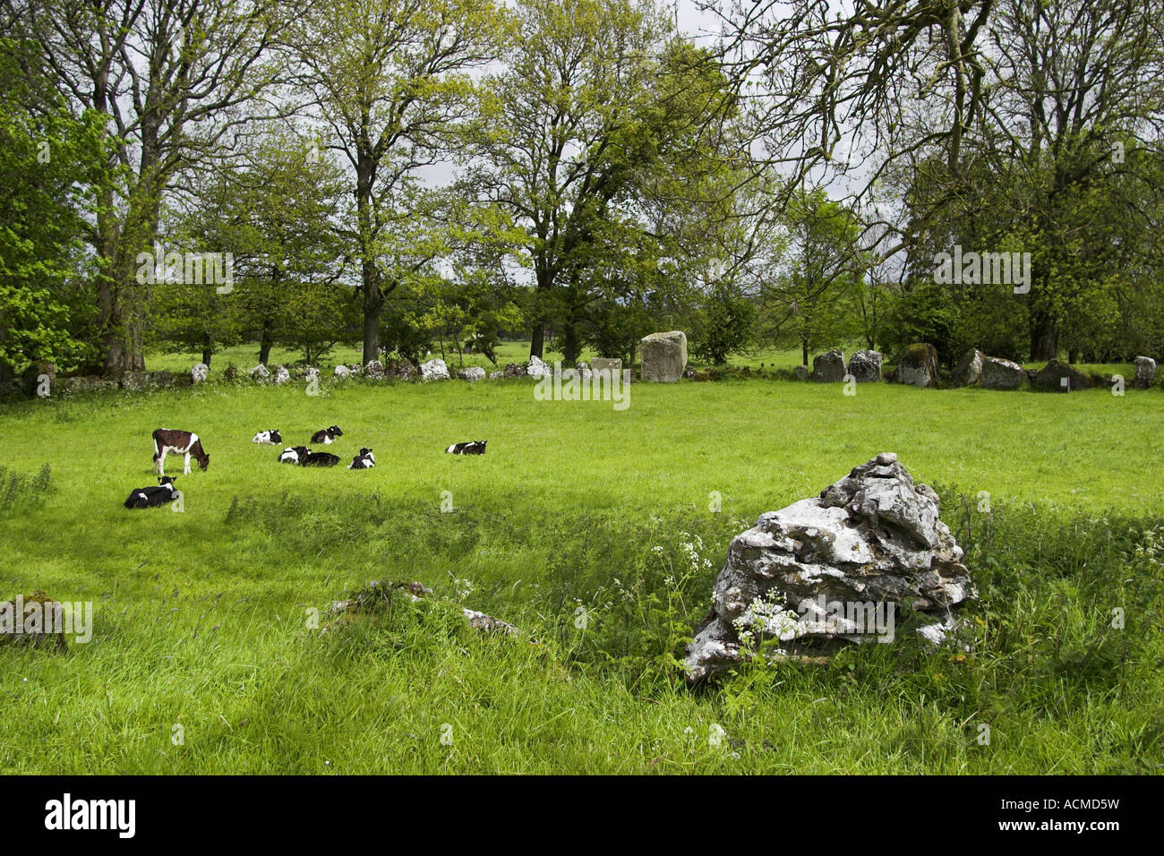 Grange Stone Circle Lough Gur Stone Age Centre Bruff Co Limerick