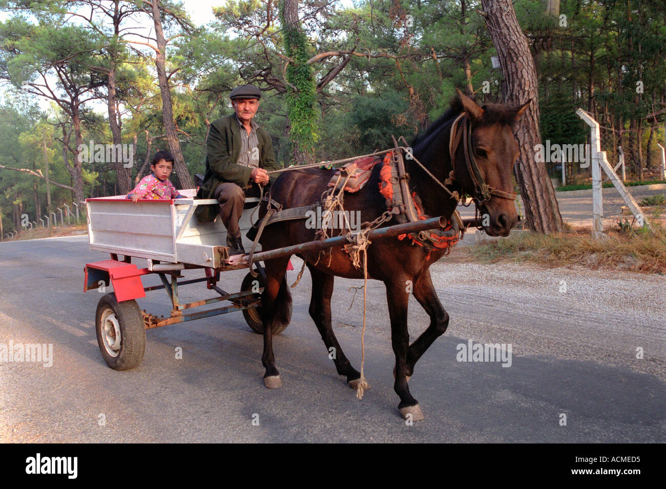 Family on Horse Pulled Cart in Cordoba City, Argentina Editorial Stock  Photo - Image of neighborhood, family: 192831243