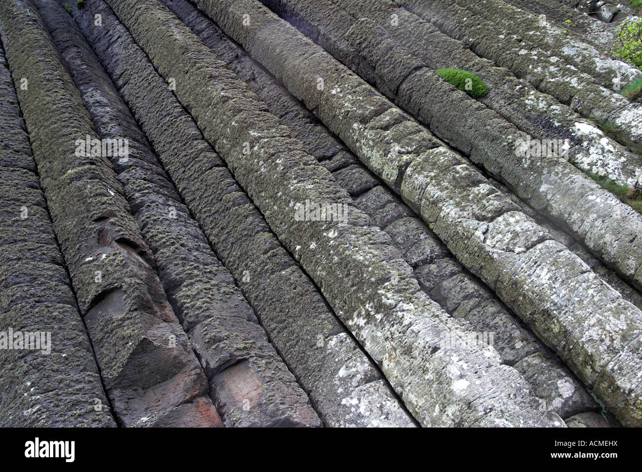 The Organ Pipes in the rain Giant s Causeway Co Antrim Northern Ireland