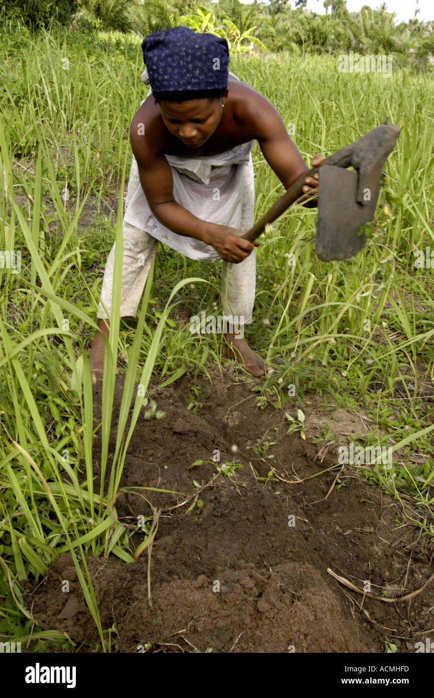 Woman tilling soil with short handled hoe Togo West Africa Stock Photo
