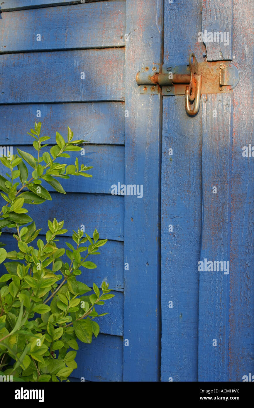 blue shed door in a back garden Stock Photo Alamy