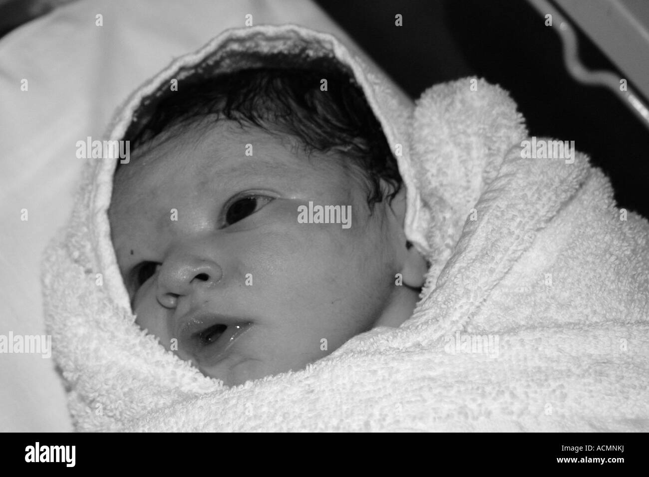 Newborn baby boy 10 minutes old swaddled and lying in a Stock Photo Alamy