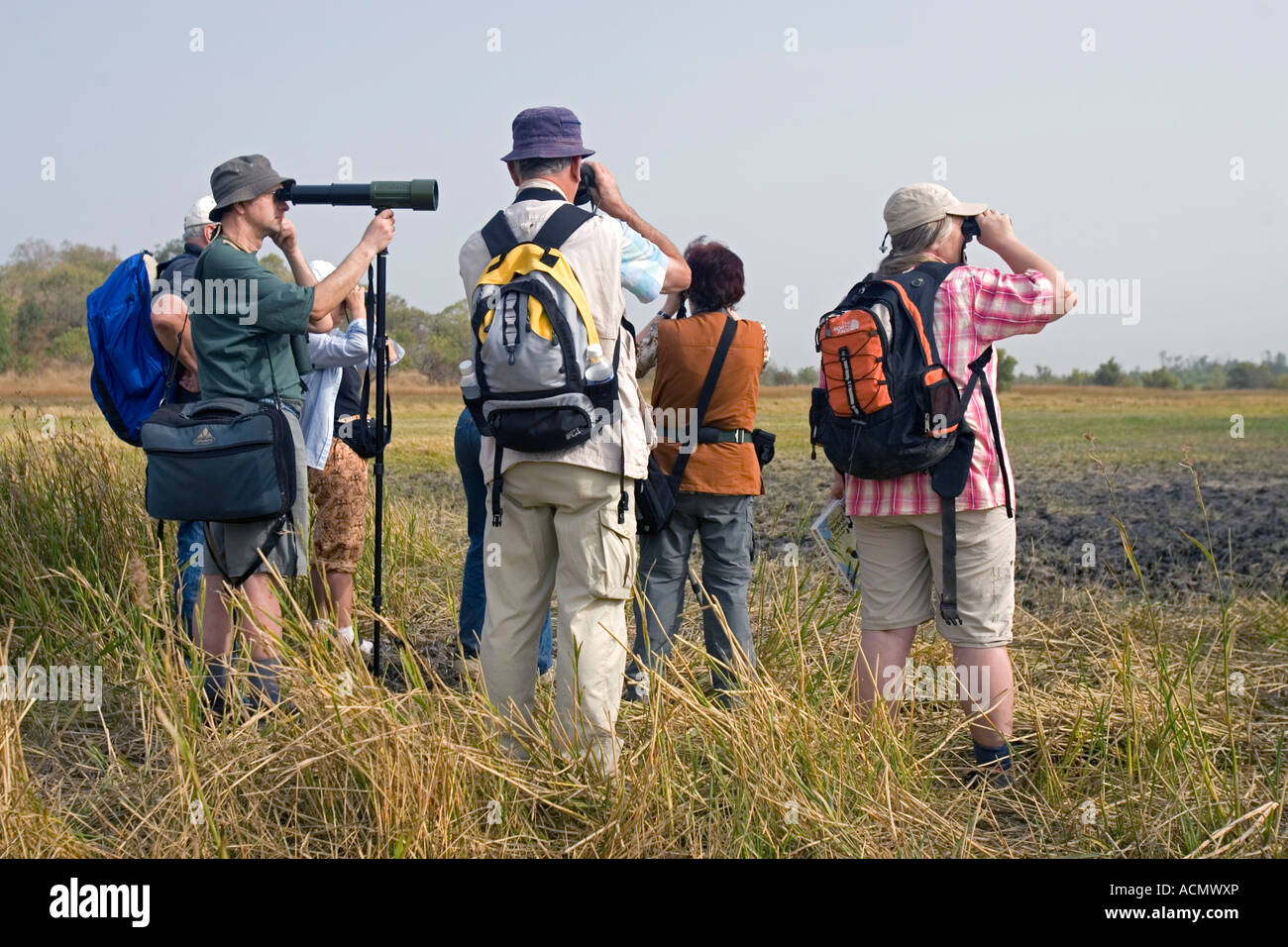 Bird watchers scan grassland mud flats near Tendaba Camp The Gambia Stock Photo