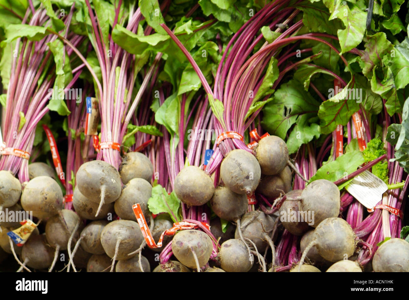 Organic vegatables in a Connecticut Supermarket Beets Stock Photo