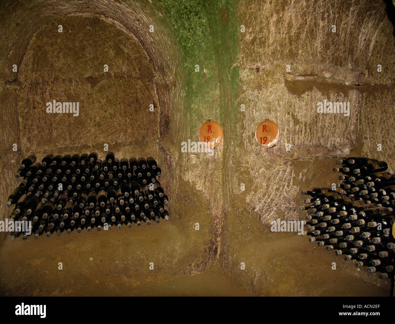 Bottles of vintage years 1970 and 1971 Rosso Wine in the cellar of