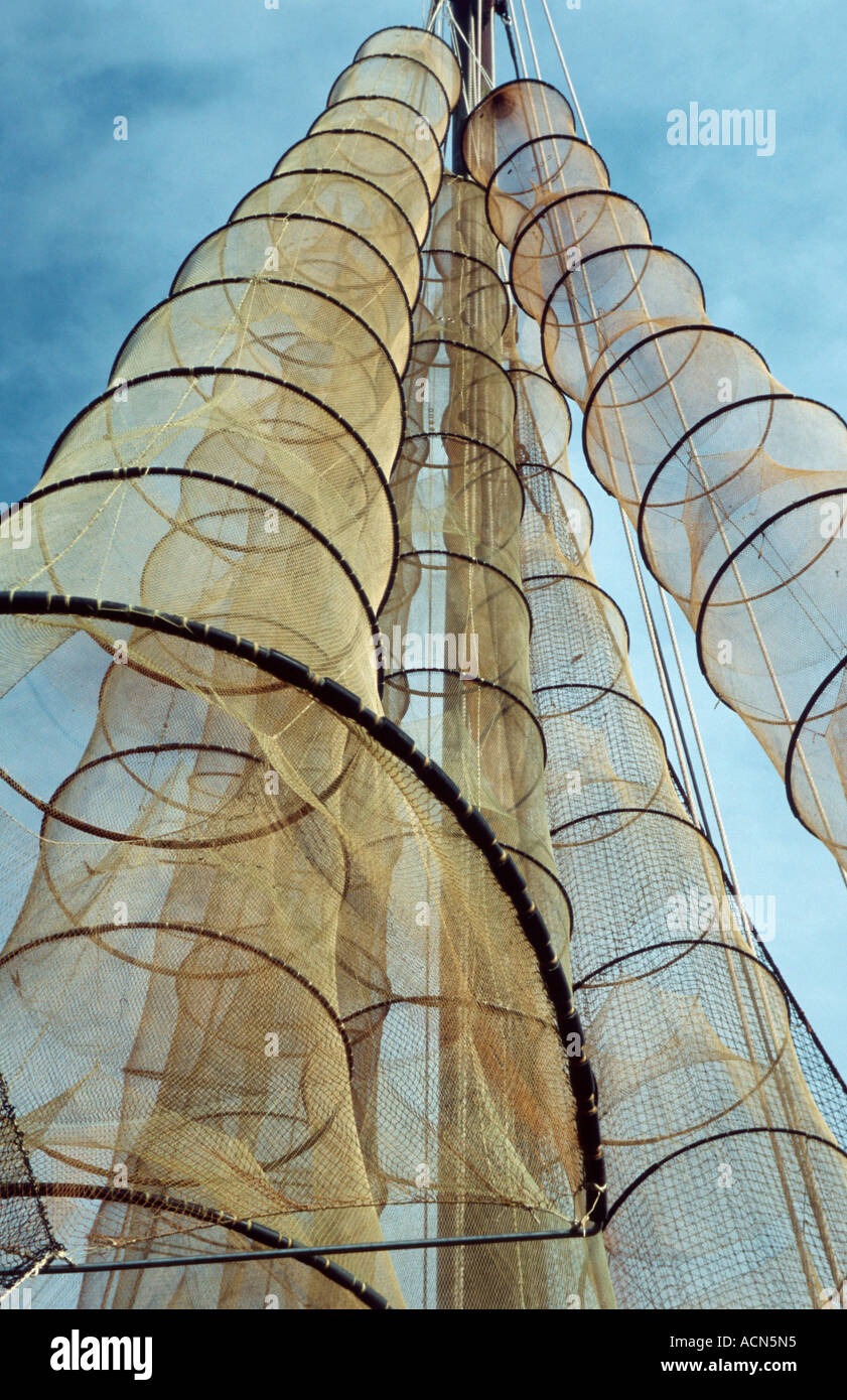 Fish baskets Stock Photo Alamy