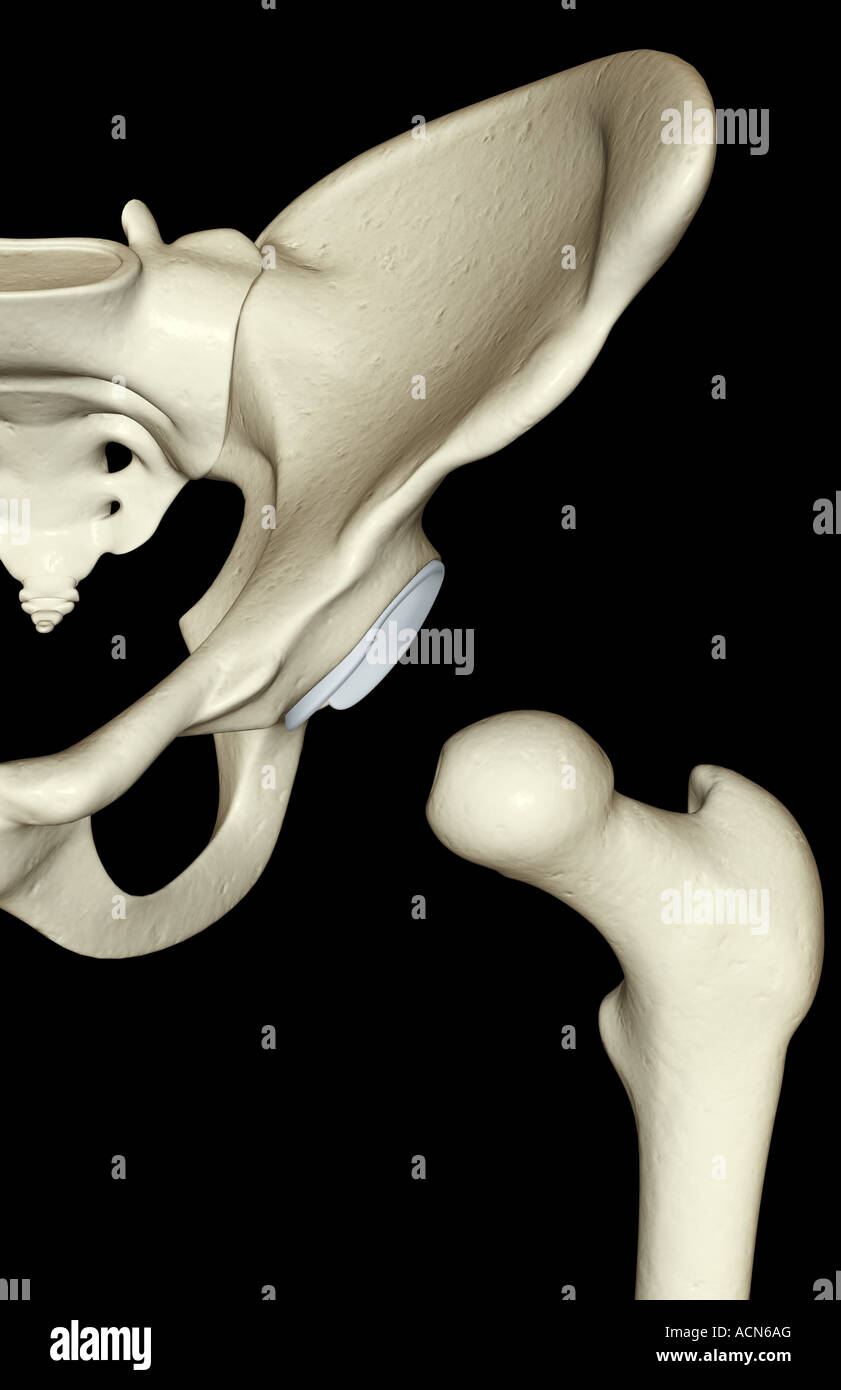 Iliac Crest High Resolution Stock Photography and Images - Alamy