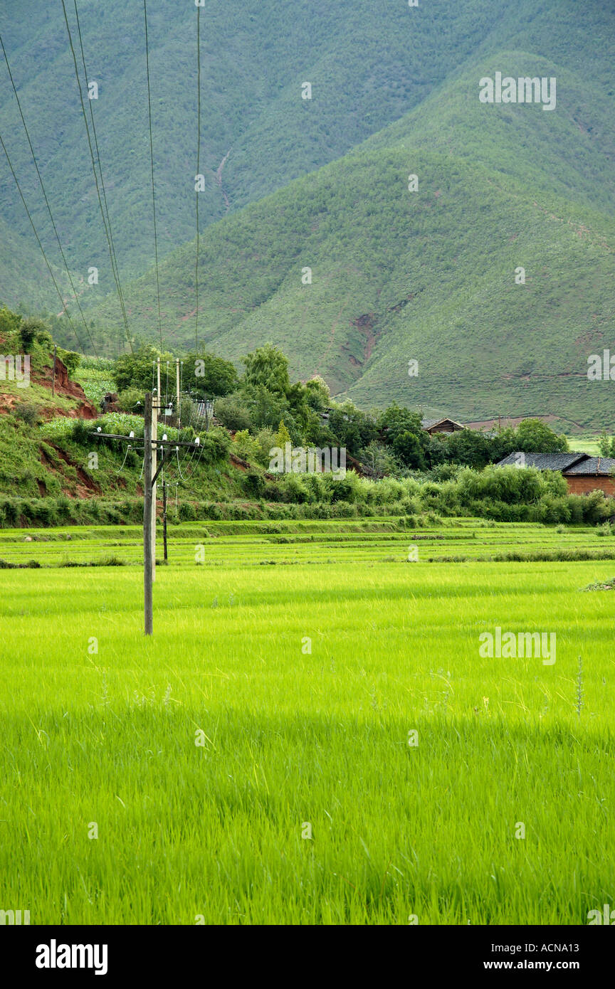Yunnan province fields hi-res stock photography and images - Alamy