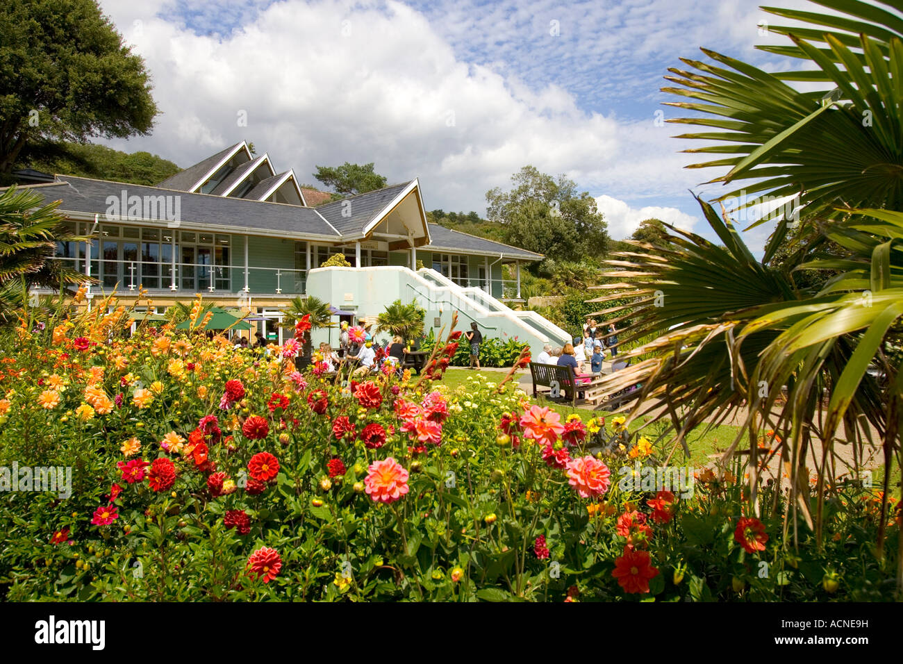 Flower Beds and Boarders Botanical Gardens Flowers Ventnor Isle of Wight England Stock Photo Alamy