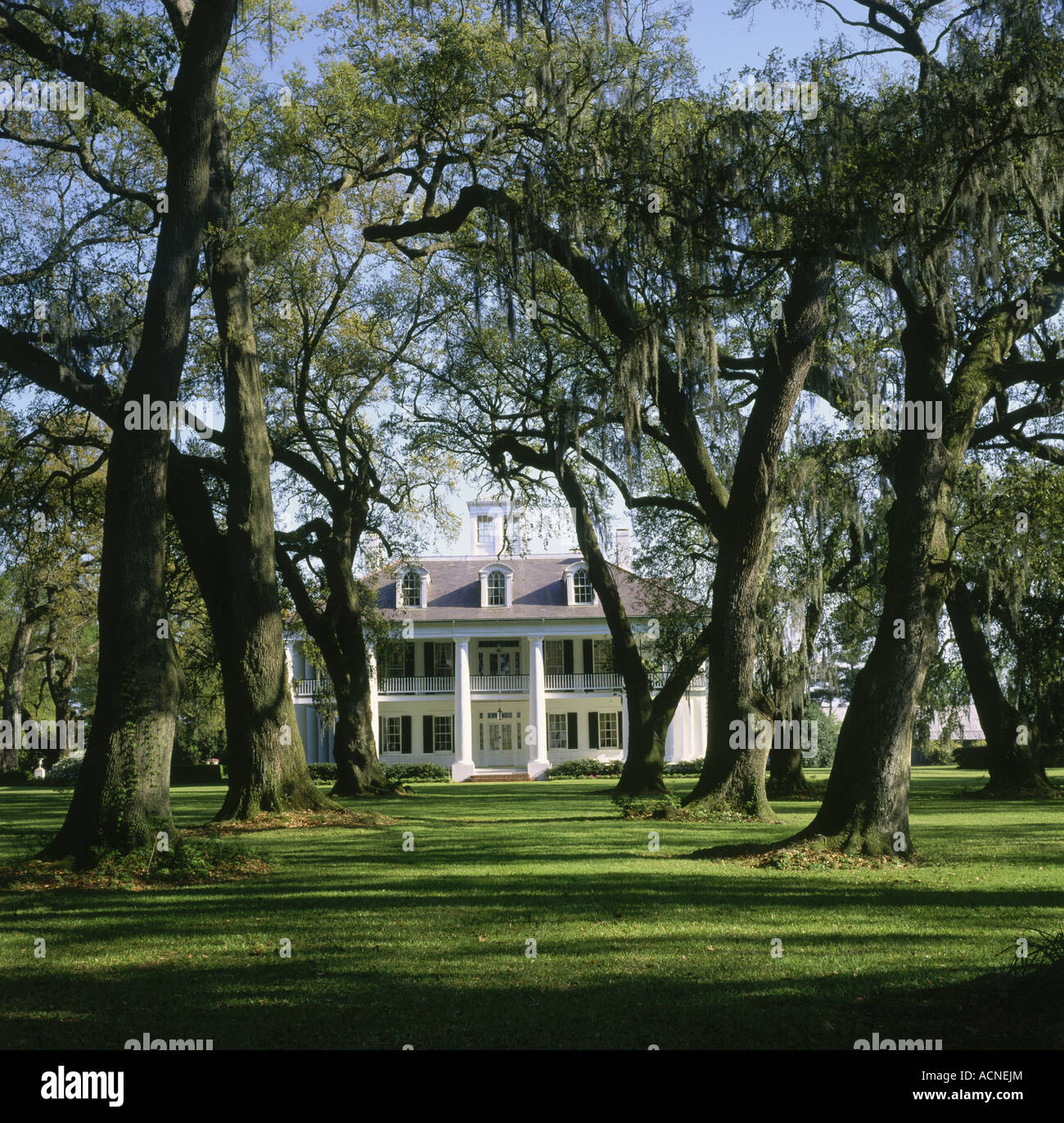 Louisiana Plantation Road Stock Photos & Louisiana Plantation Road