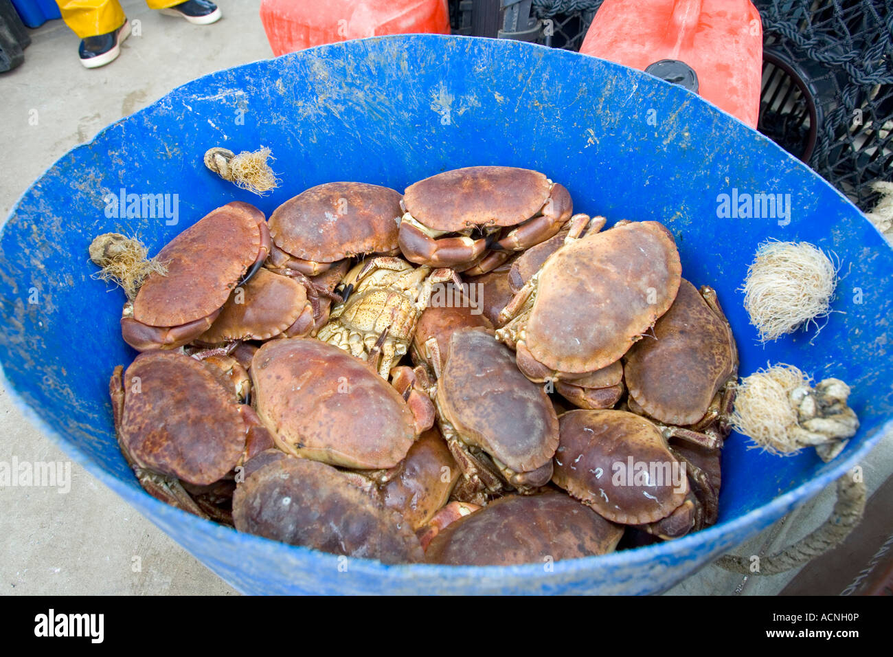 Isle of Wight Ventnor beach Isle of Wight marina Ventnor Haven Fishery