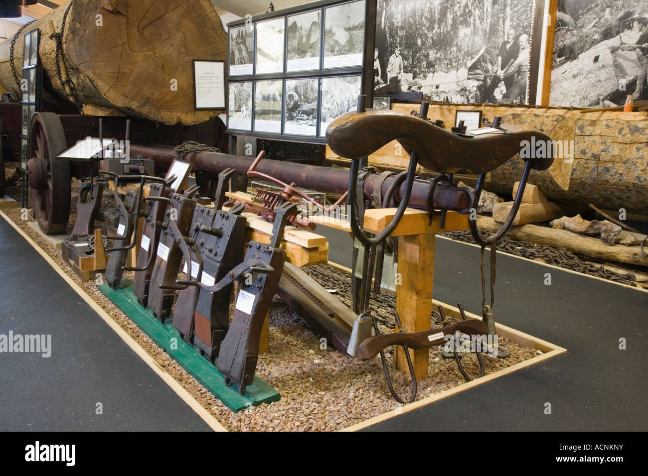 The Kauri Museum display of restored machinery large Kauri tree trunk and timber jacks in Smith wing Matakohe New Zealand Stock Photo