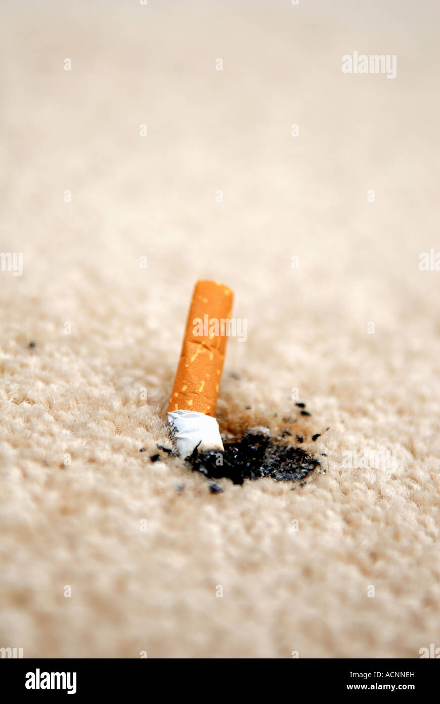 Cigarette butt on carpet Stock Photo