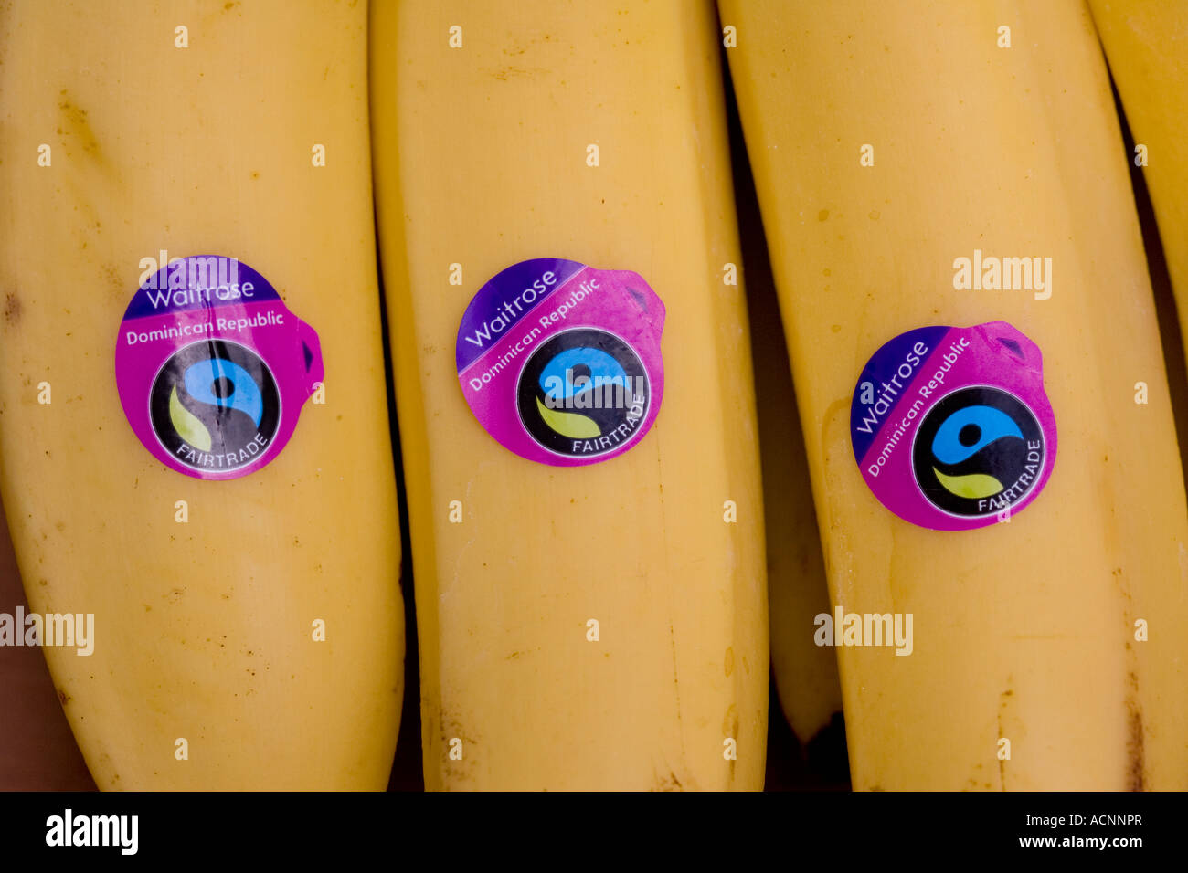 Bananas from Dominican Republic with Faitrade labels Waitrose