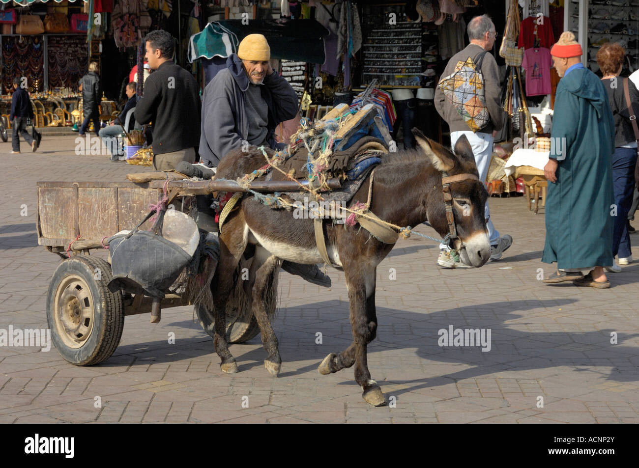 Donkey cart Marrakech Morocco North Africa Stock Photo