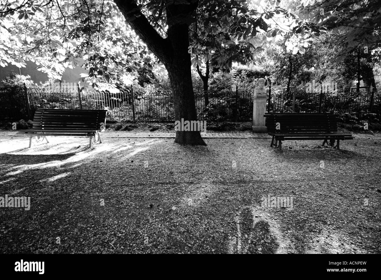Public park landscape in Black and White Stock Photos & Images - Alamy