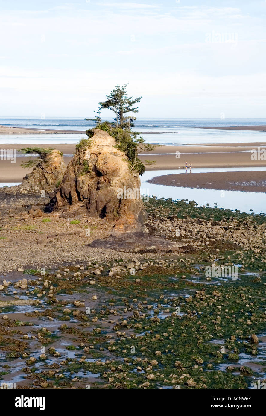 Siletz Bay, Oregon Stock Photo Alamy