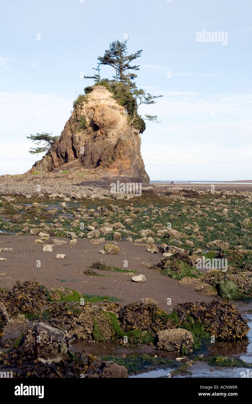 Siletz Bay, Oregon Stock Photo Alamy