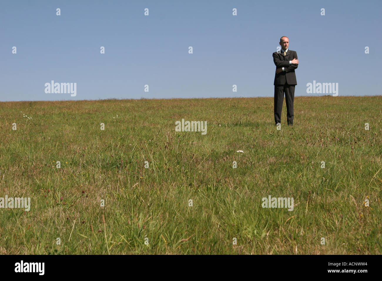 Lonley businessman on the meadow - Geschäftsmann alleine auf einer Wiese Stock Photo