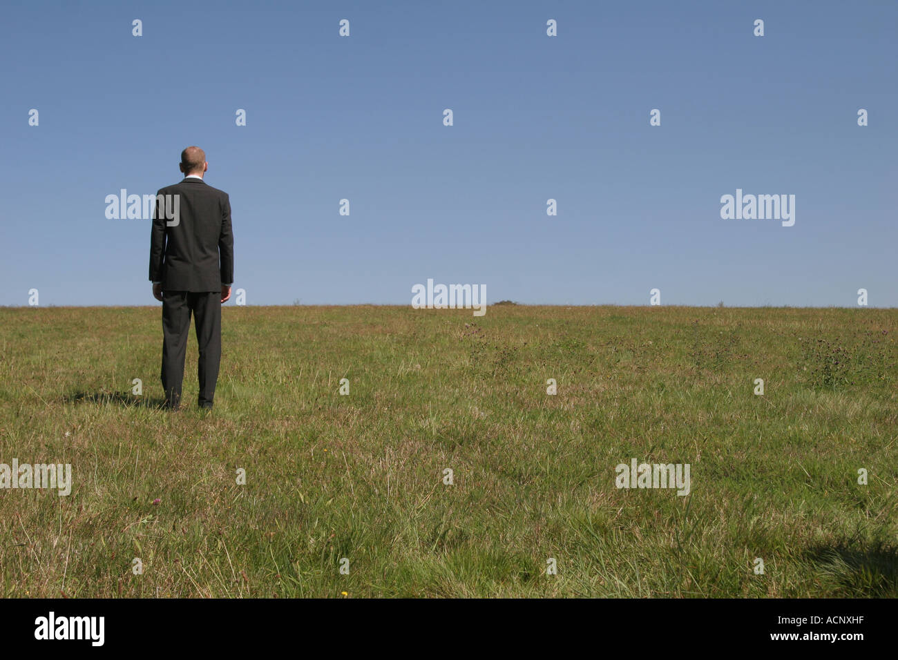 Lonley businessman on the meadow - Geschäftsmann alleine auf einer Wiese Stock Photo
