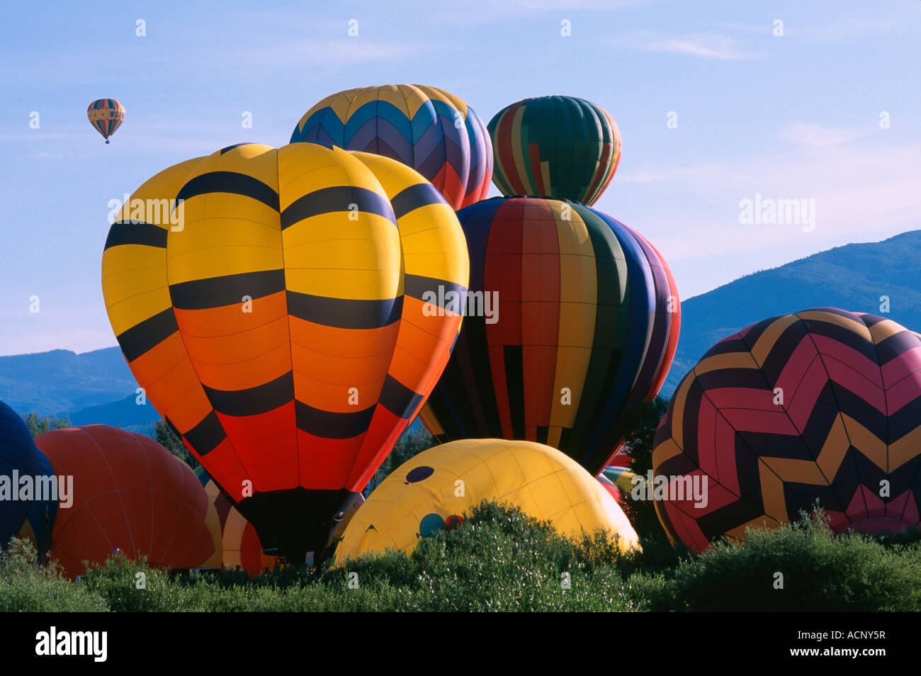 Hot air balloon festival Steamboat Springs Colorado USA Stock Photo Alamy