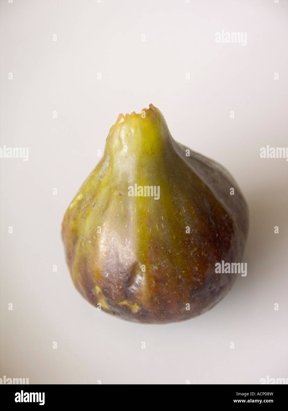 Suggestive  Common fig (Ficus carica), fruit on a white dish background Stock Photo