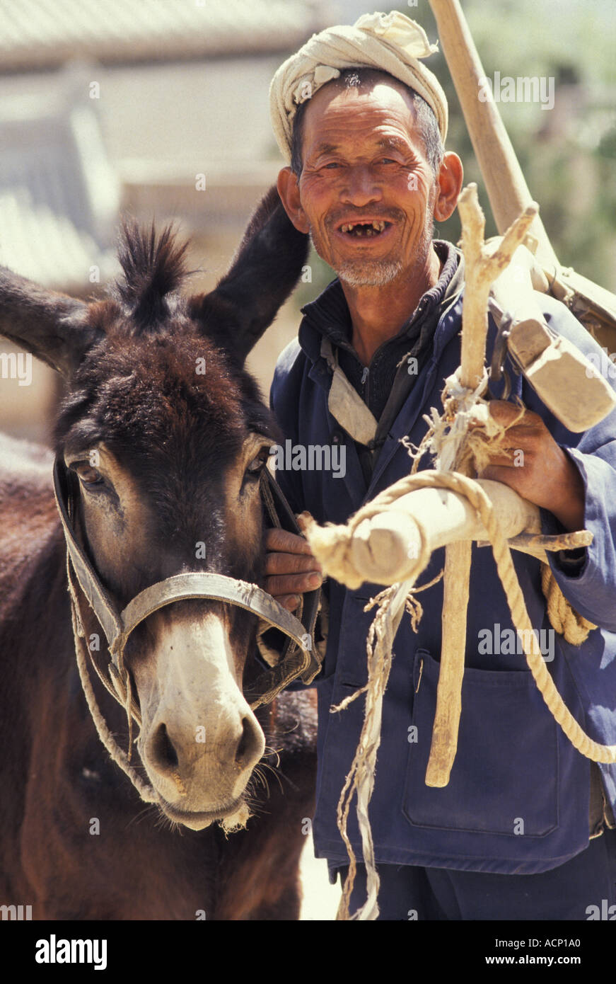 A farmer carrying plough with a donkey Loess Plateau Shaanxi Province China Stock Photo