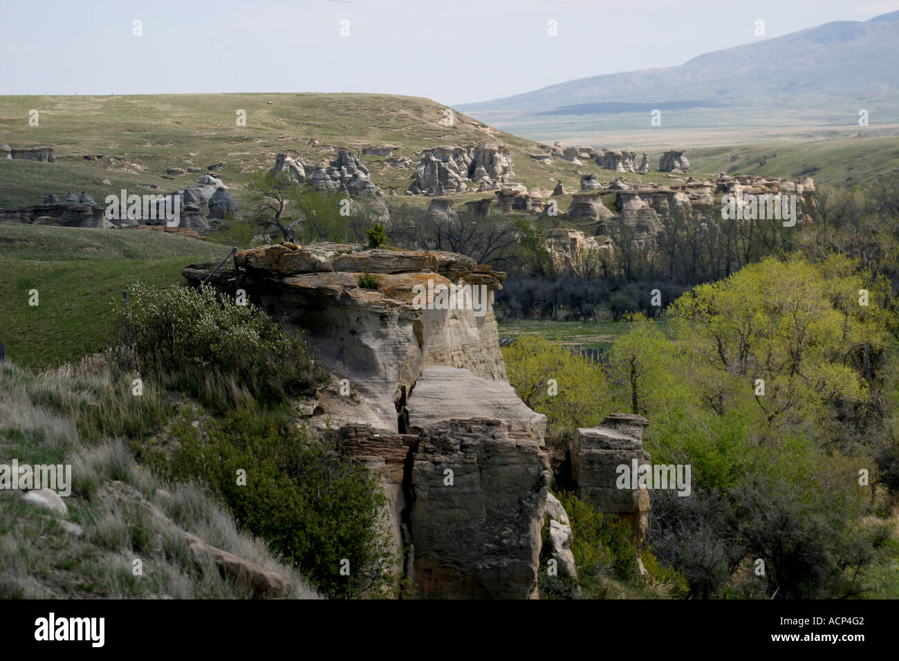 GEOLOGICAL; Milk River Valley, Alberta, Canada Stock Photo Alamy