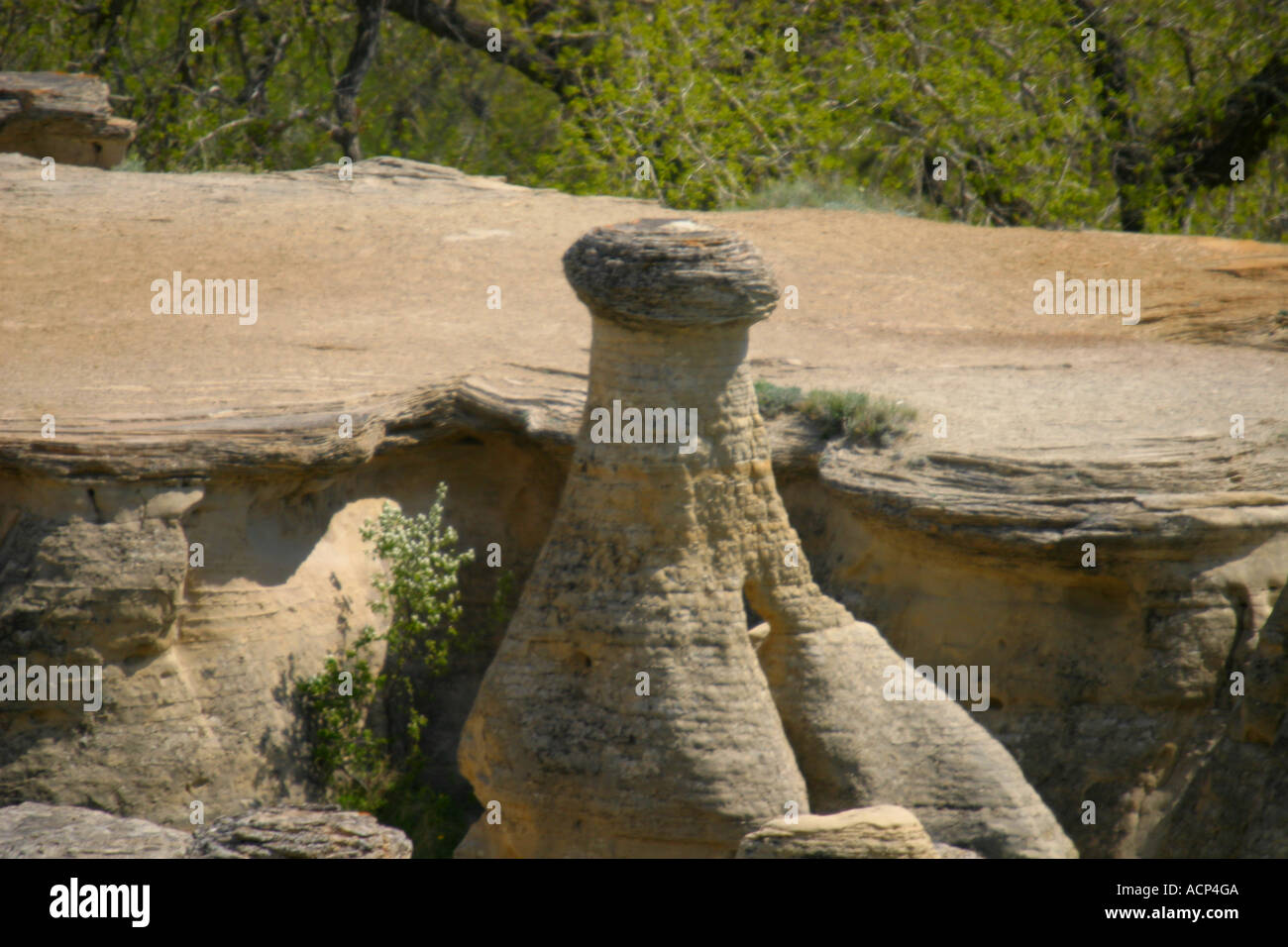 GEOLOGICAL; Milk River Valley, Alberta, Canada Stock Photo Alamy