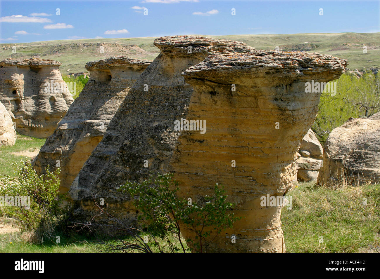 GEOLOGICAL; Milk River Valley, Alberta, Canada Stock Photo Alamy