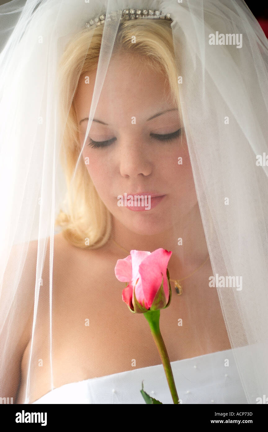 portrait of bride with flower Stock Photo - Alamy