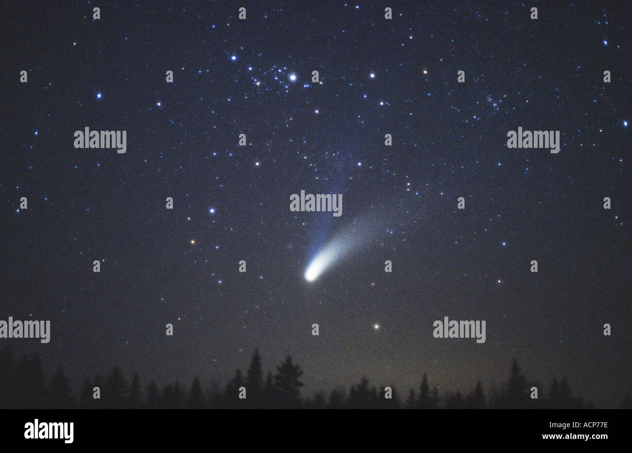 Comet Hale Bopp Stock Photo