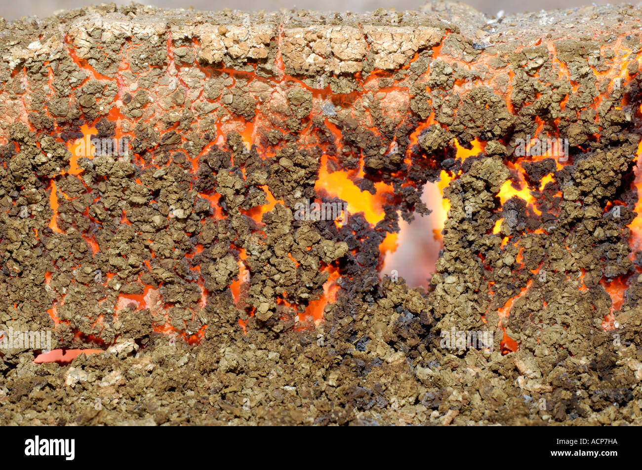 Briquettes de lignite image stock. Image du groupe, écologie