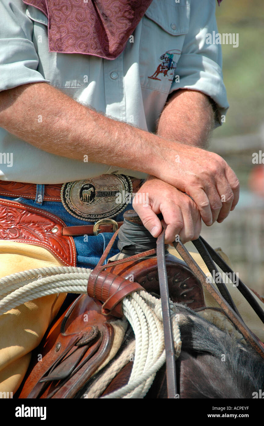 Hands of a real working cowboy on saddle horn with his ropes before the