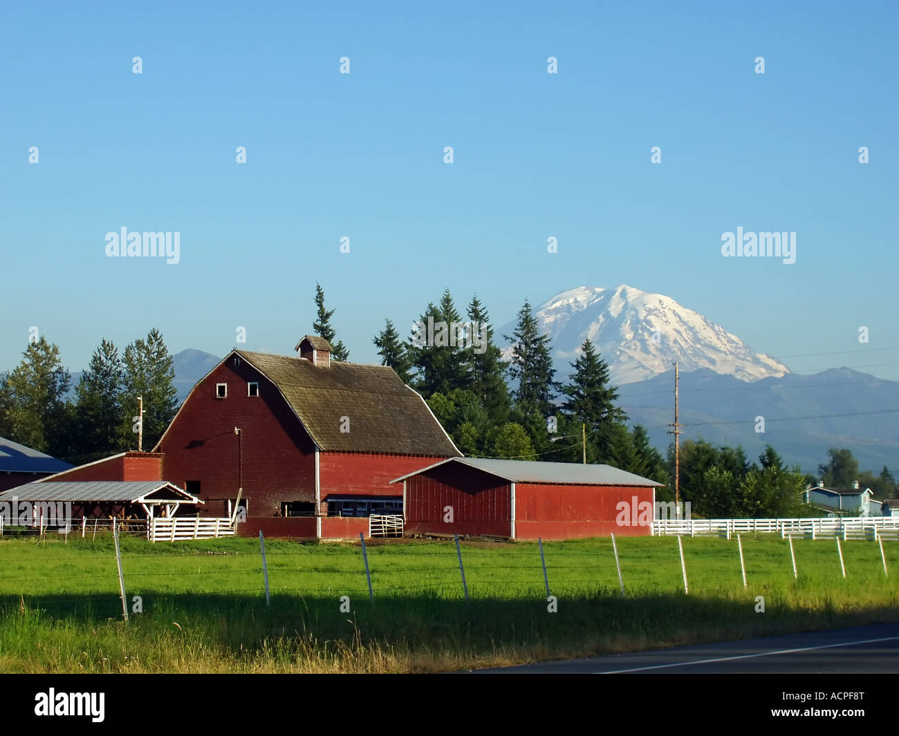 Rainier and Enumclaw Farm Stock Photo