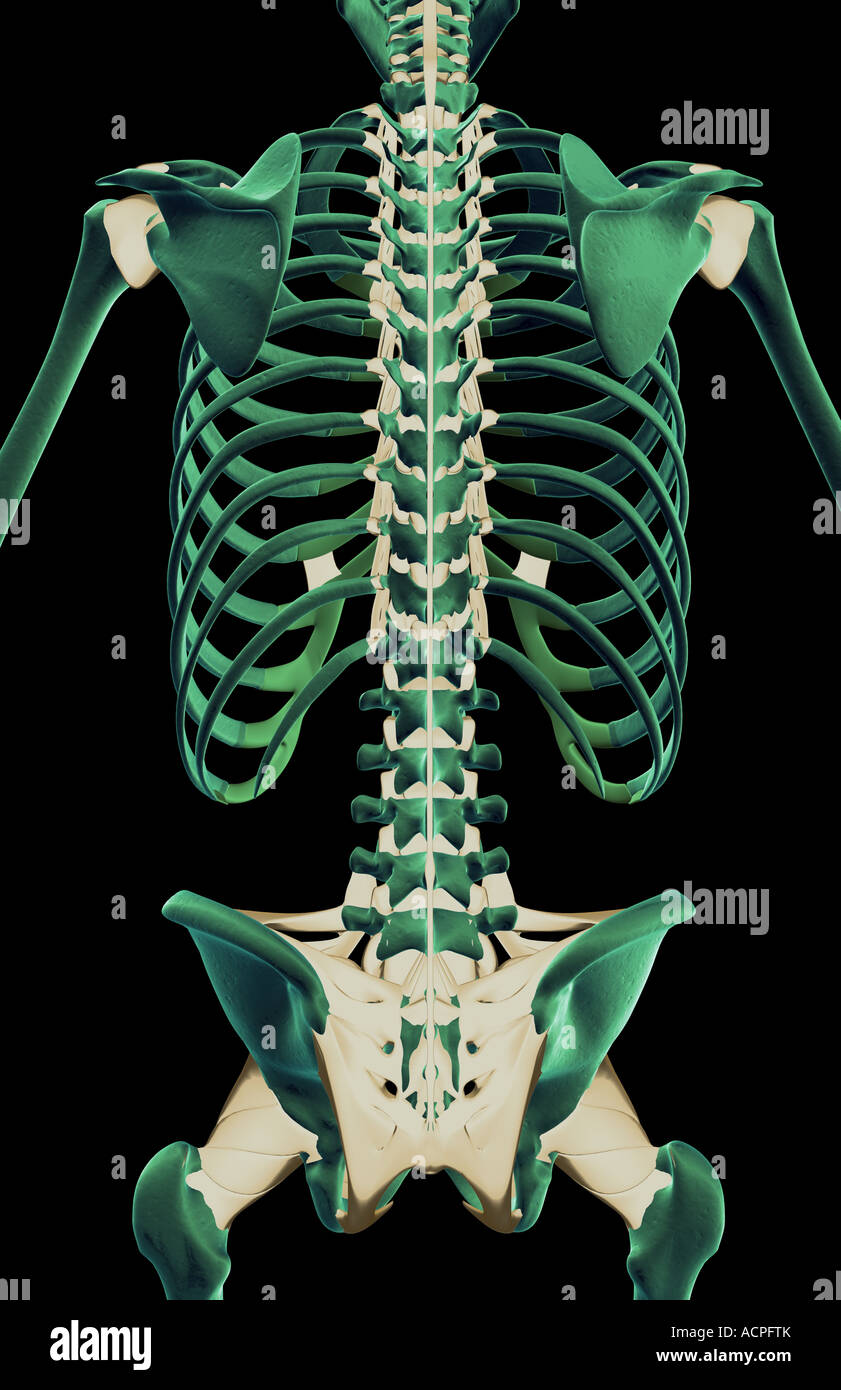 Jinsiy aloqada bolgan ayol va yosh yigitni tomosha qiling
