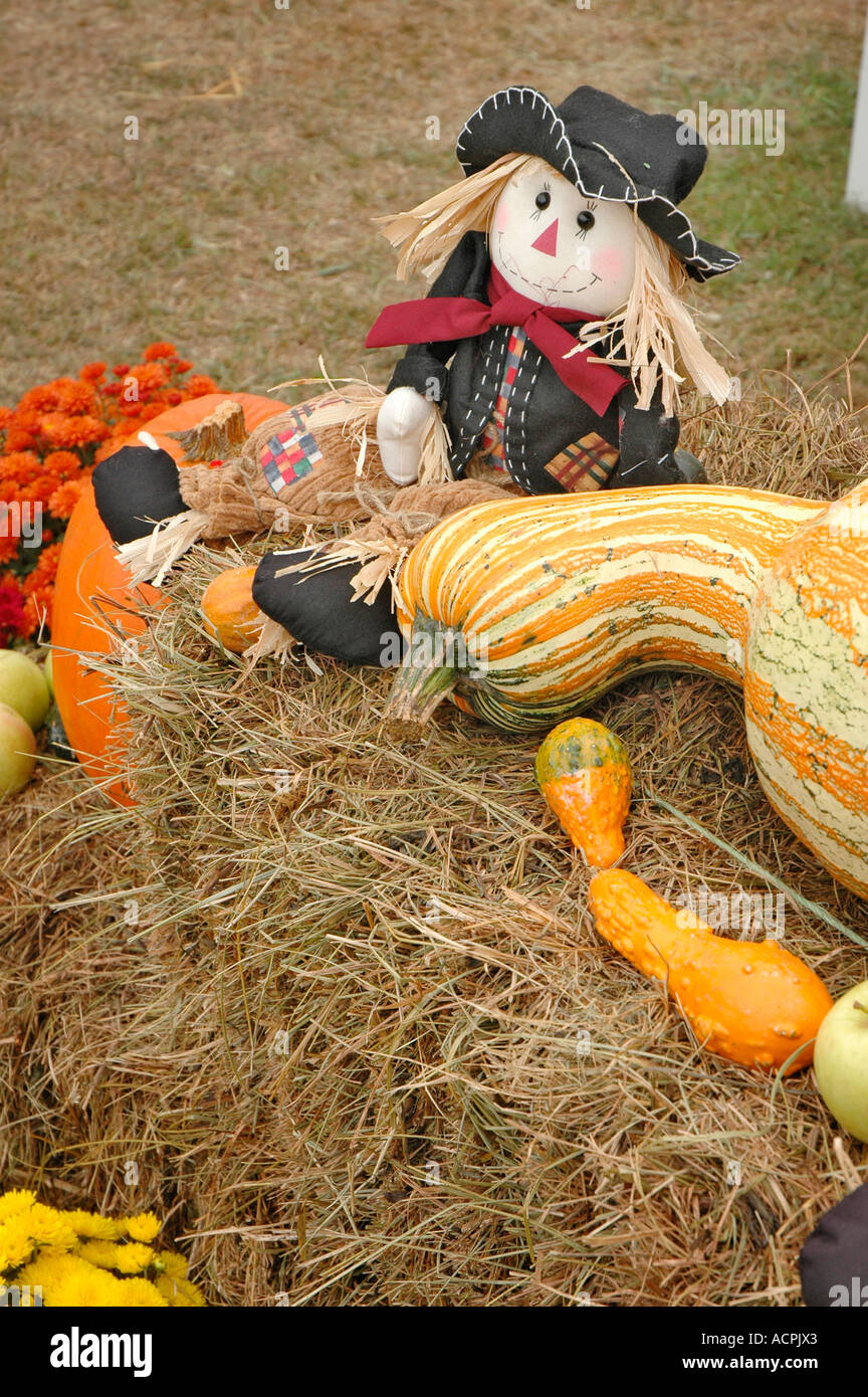 Halloween and fall display of gourds and pumpkins for sale at fall