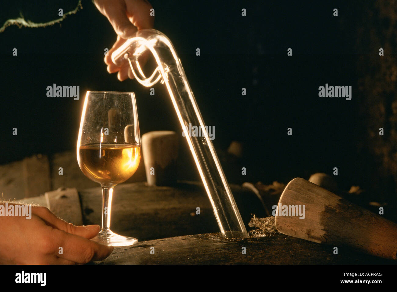France Vouvray glass pipette on cask hand Stock Photo Alamy