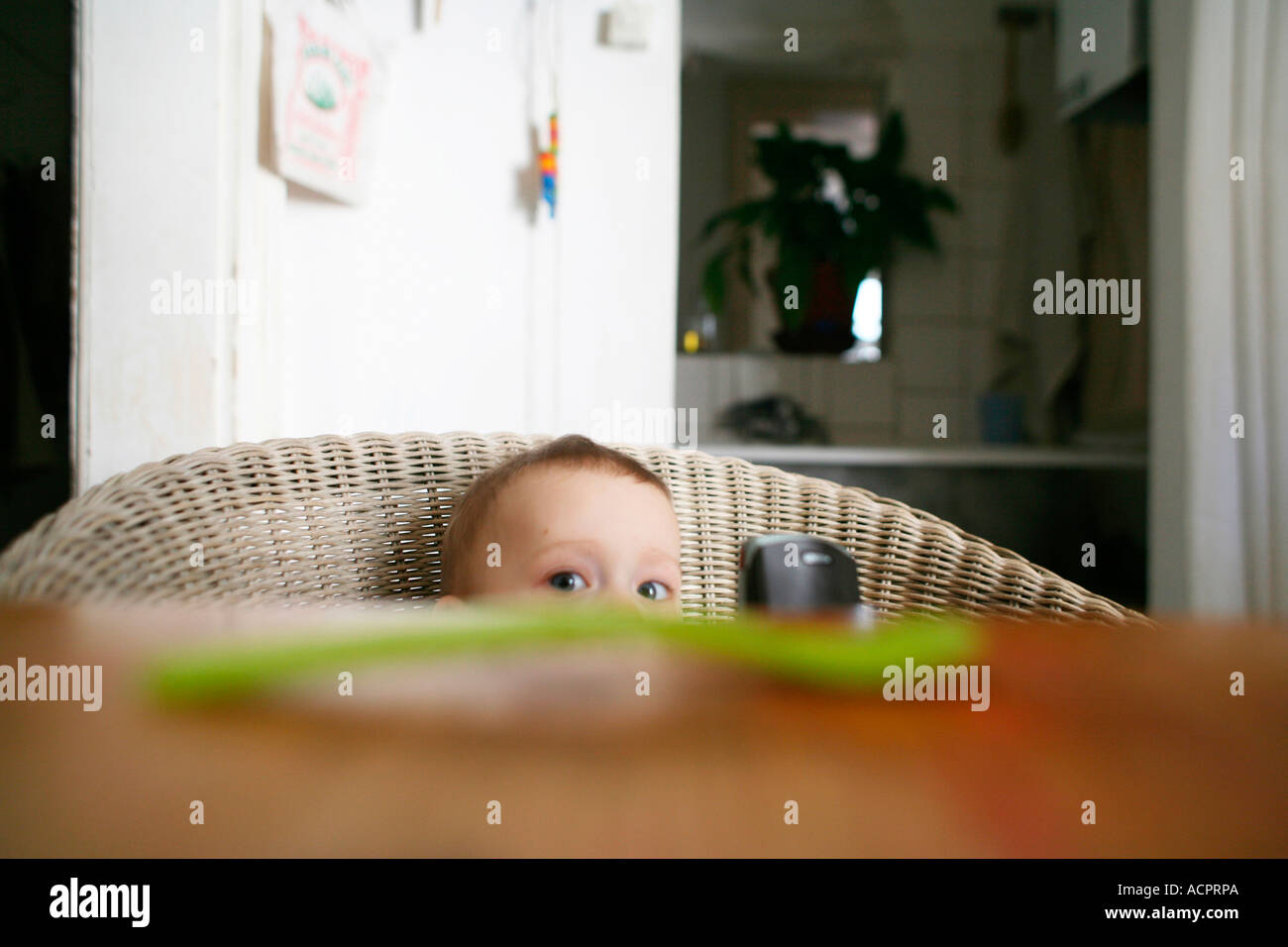 Baby boy (1218 months) sitting on chair Stock Photo Alamy