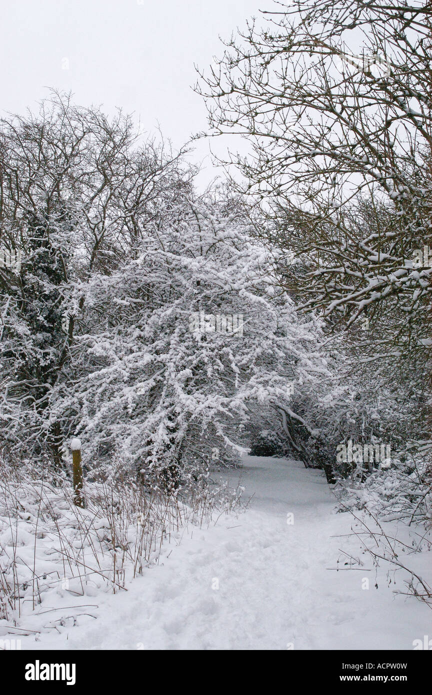 Cold weather england hi-res stock photography and images - Alamy