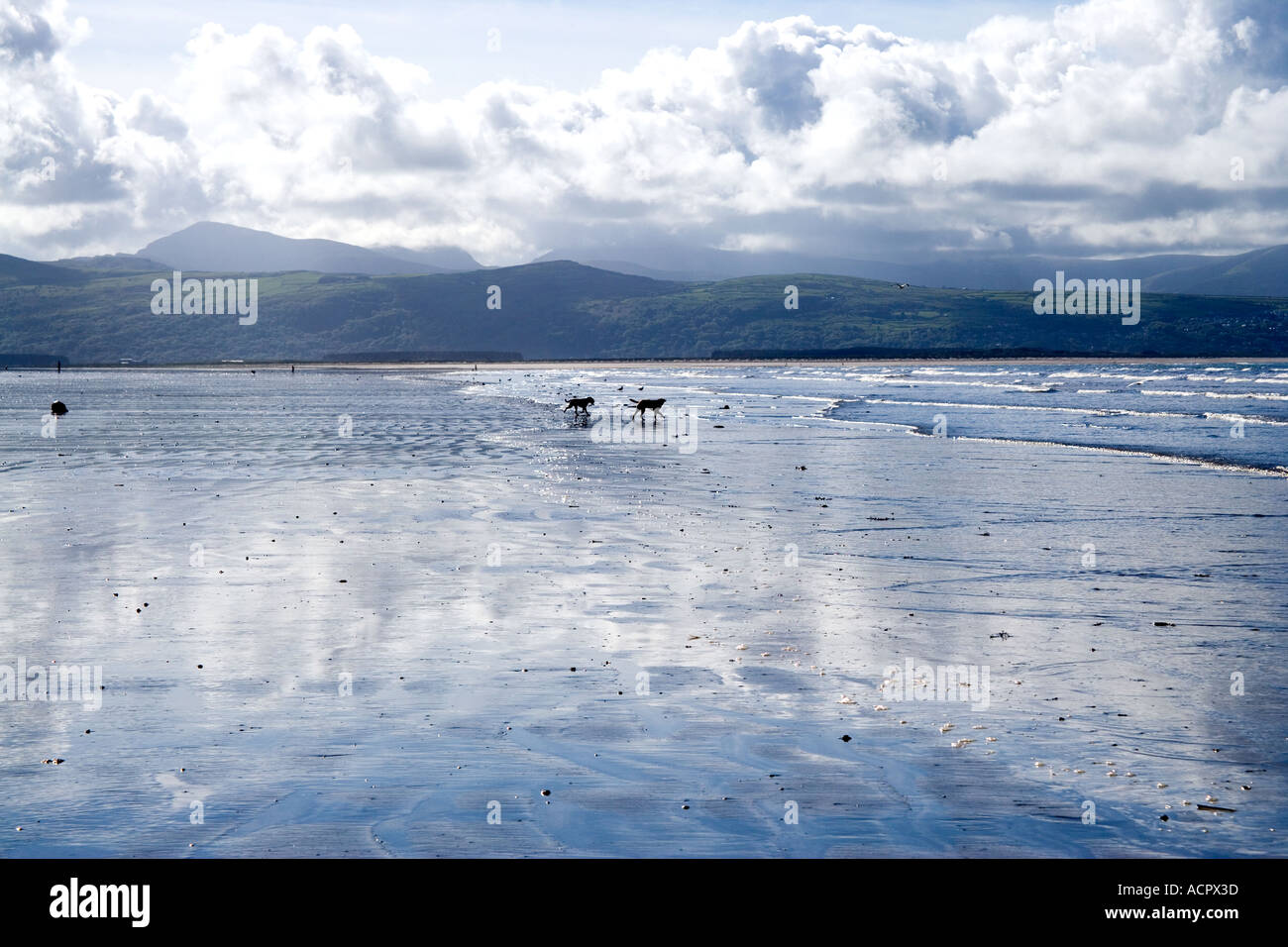 Black Rock Sands North Wales Stock Photo - Alamy