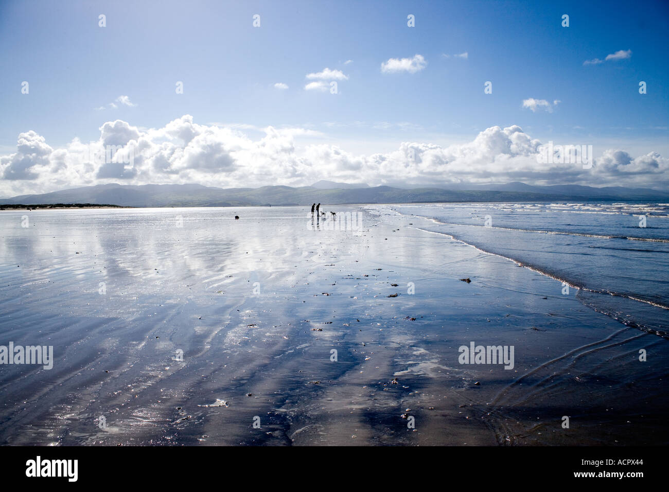 Black Rock Sands North Wales Stock Photo - Alamy