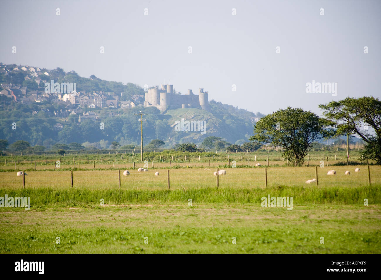 Harlech Castle North Wales Stock Photo - Alamy