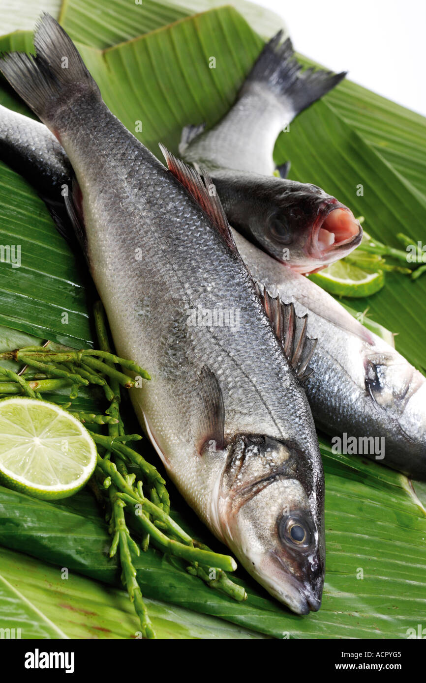 Fresh fish, loup de mer on banana leaves Stock Photo Alamy