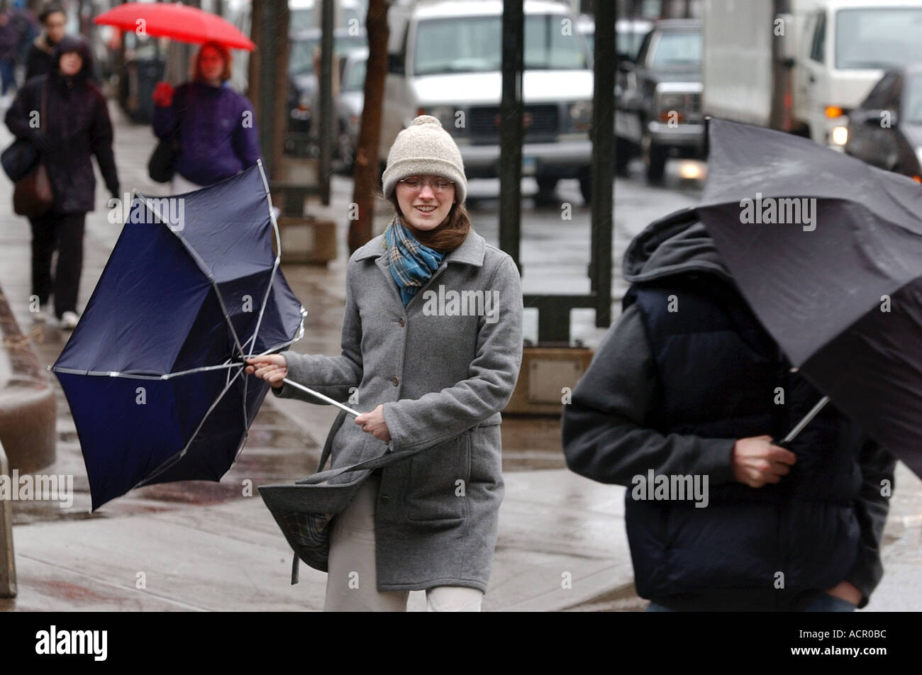 woman caught in wind storm blowing umbrella backwards back. Weather humour. Stock Photo